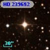 HD 239682