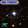 HD 239691