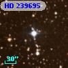 HD 239695