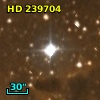 HD 239704