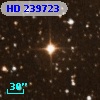 HD 239723