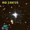 HD 239725