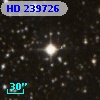 HD 239726