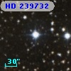 HD 239732