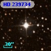 HD 239734