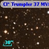 Cl* Trumpler   37    MVA      22