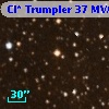 Cl* Trumpler   37    MVA      25