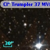 Cl* Trumpler   37    MVA     203