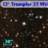 Cl* Trumpler   37    MVA     221