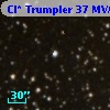 Cl* Trumpler   37    MVA     229