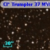 Cl* Trumpler   37    MVA     302
