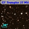 Cl* Trumpler   37    MVA     321