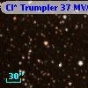 Cl* Trumpler   37    MVA     326