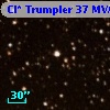 Cl* Trumpler   37    MVA     335