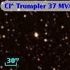 Cl* Trumpler   37    MVA     337