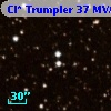 Cl* Trumpler   37    MVA     367