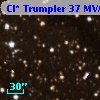 Cl* Trumpler   37    MVA     436