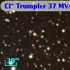 Cl* Trumpler   37    MVA     459