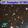 Cl* Trumpler   37    MVA     480