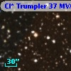 Cl* Trumpler   37    MVA     514