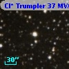 Cl* Trumpler   37    MVA     550