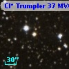 Cl* Trumpler   37    MVA     565