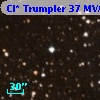 Cl* Trumpler   37    MVA     598