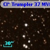 Cl* Trumpler   37    MVA     615