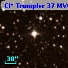 Cl* Trumpler   37    MVA     800