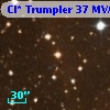 Cl* Trumpler   37    MVA    1313