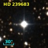 HD 239683