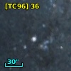 [TC96]  36