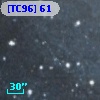[TC96]  61