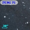 [TC96]  75
