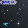 [TC96]  81