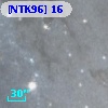 [NTK96] 16