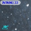 [NTK96] 22
