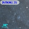 [NTK96] 25