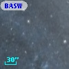 BASW   6