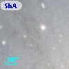 ShAl 53