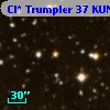 Cl* Trumpler   37    KUN     313