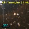 Cl* Trumpler   37    KUN     323