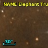 NAME ELEPHANT TRUNK NEBULA