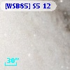 [WSB85] S5 12