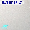 [WSB85] S7 17