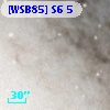 [WSB85] S6  5