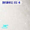 [WSB85] S5  4