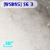 [WSB85] S6  3