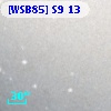 [WSB85] S9 13