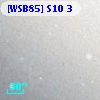 [WSB85] S10  3